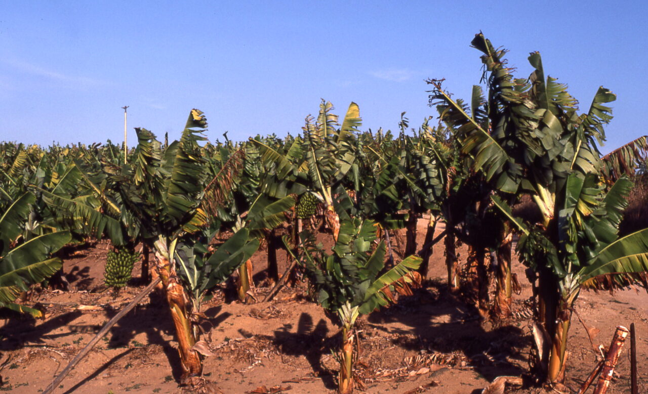 Kruger National Park