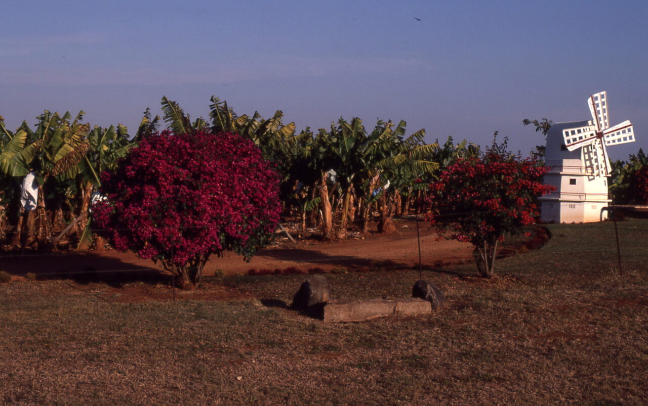 Kruger National Park