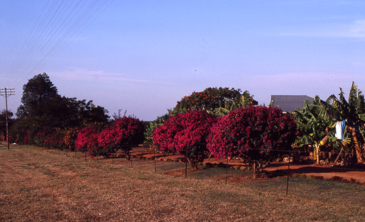 Kruger National Park