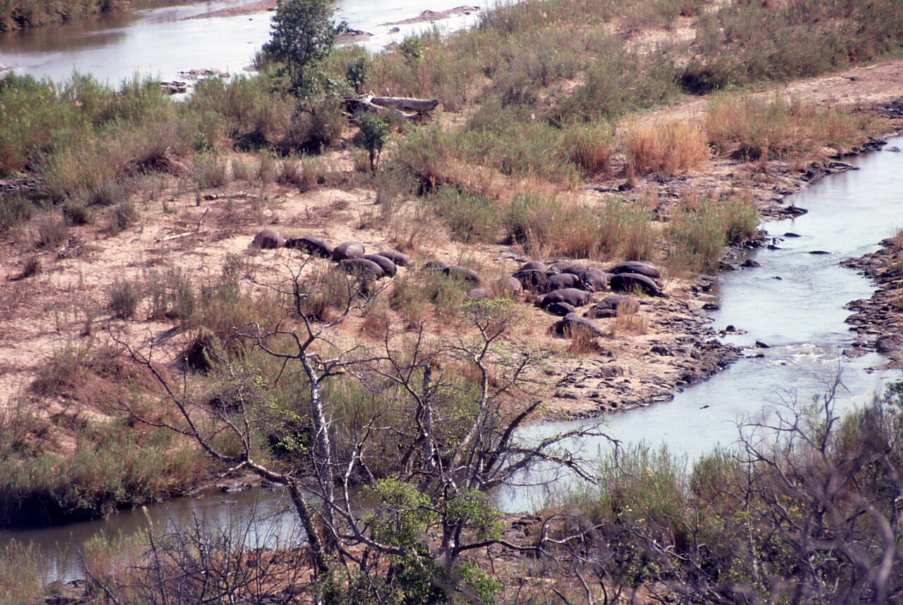 Kruger National Park