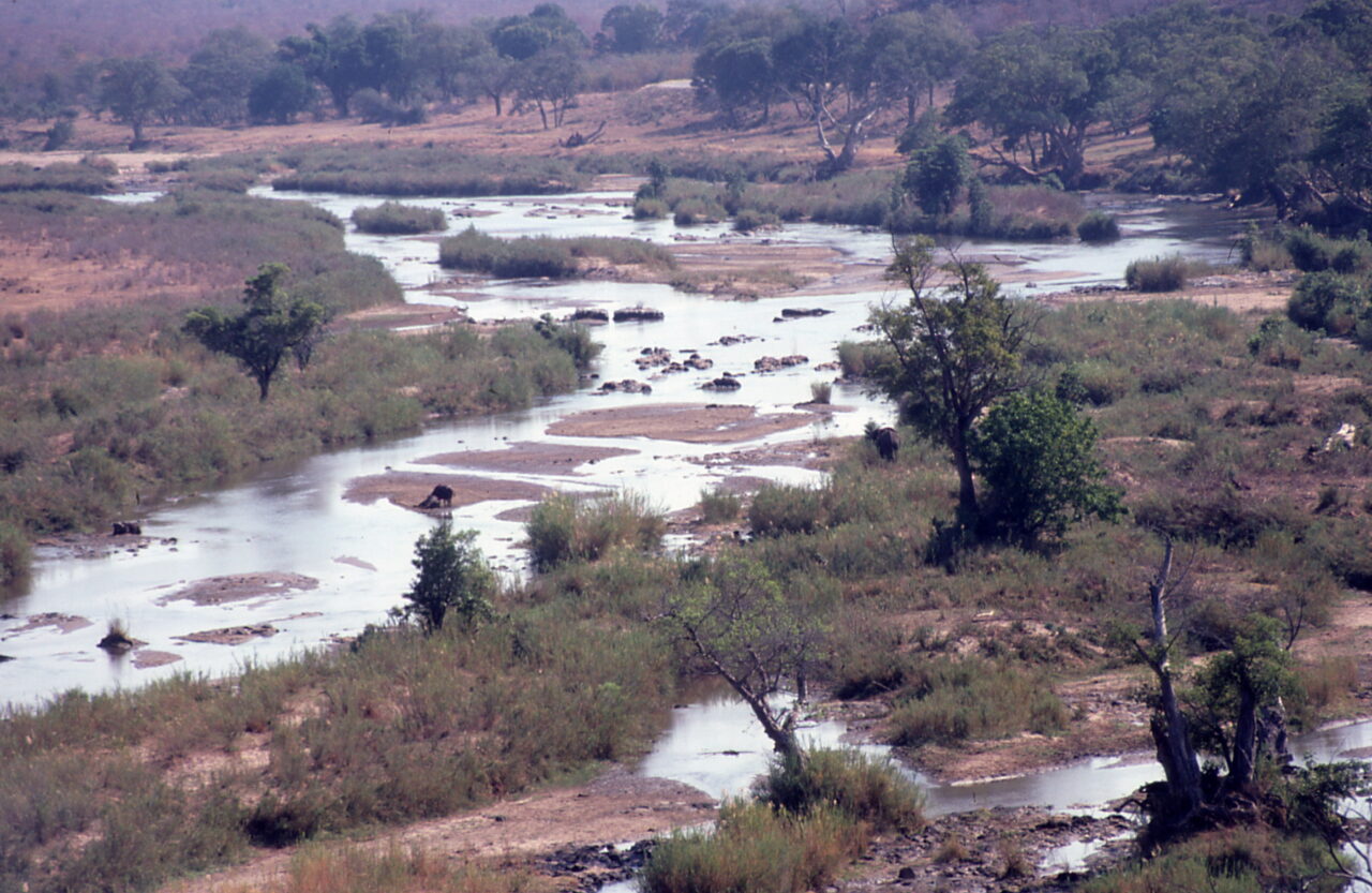 River Kruger National Park