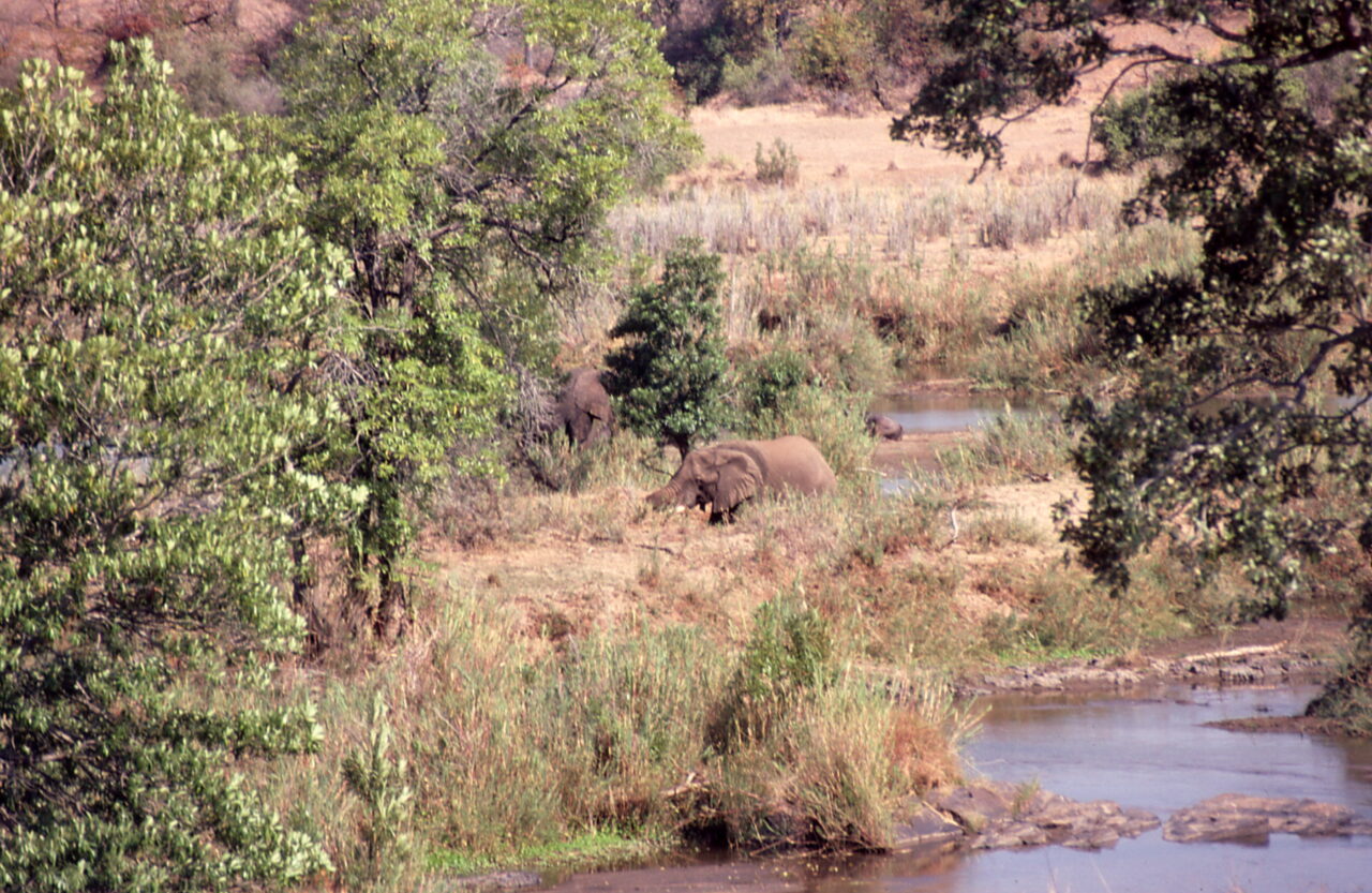 Kruger National Park