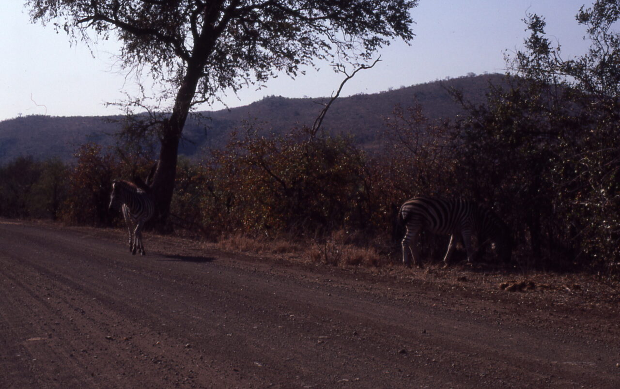 Kruger National Park