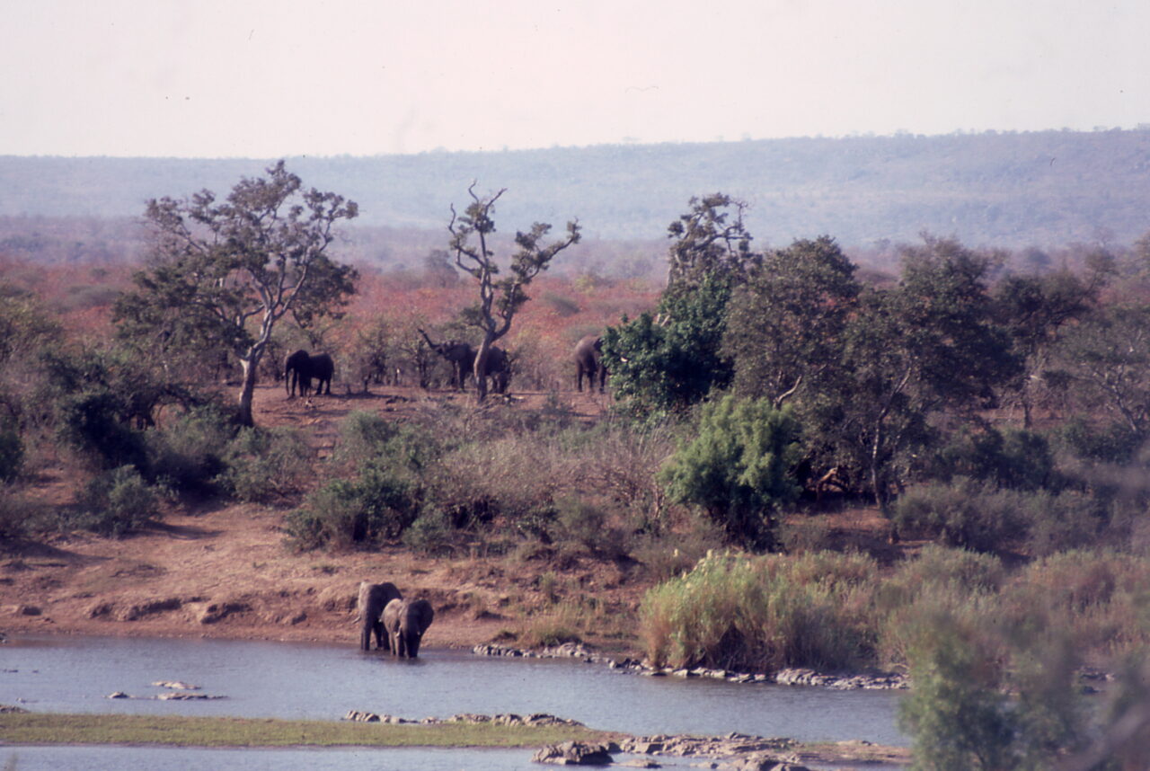 Kruger National Park
