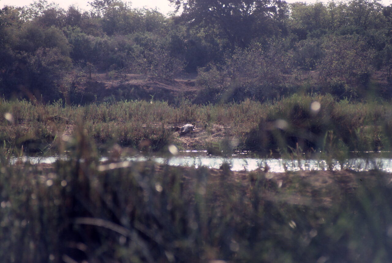 Kruger National Park