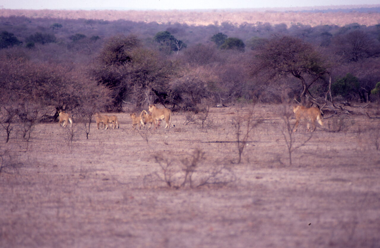 Kruger National Park