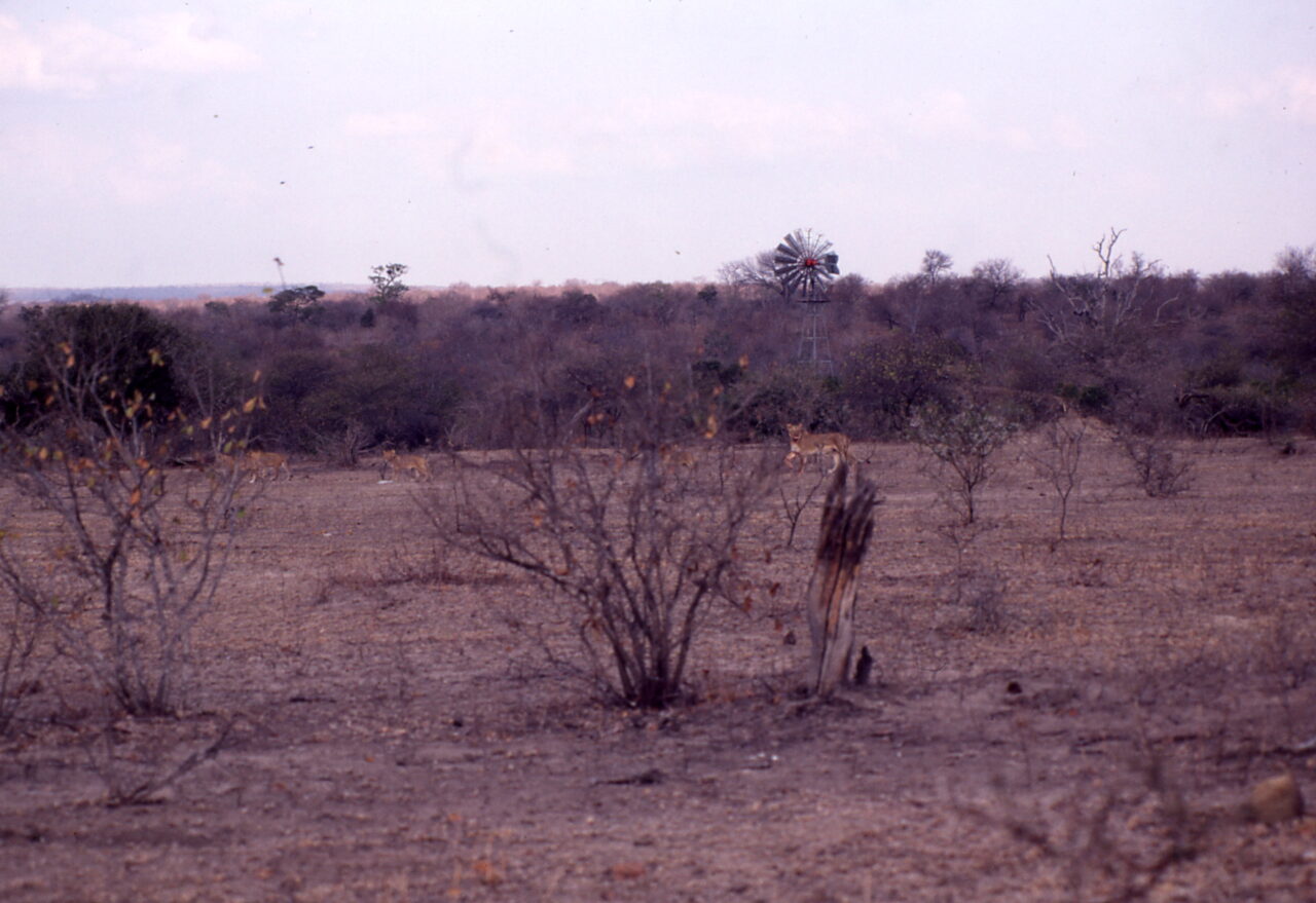 Kruger National Park