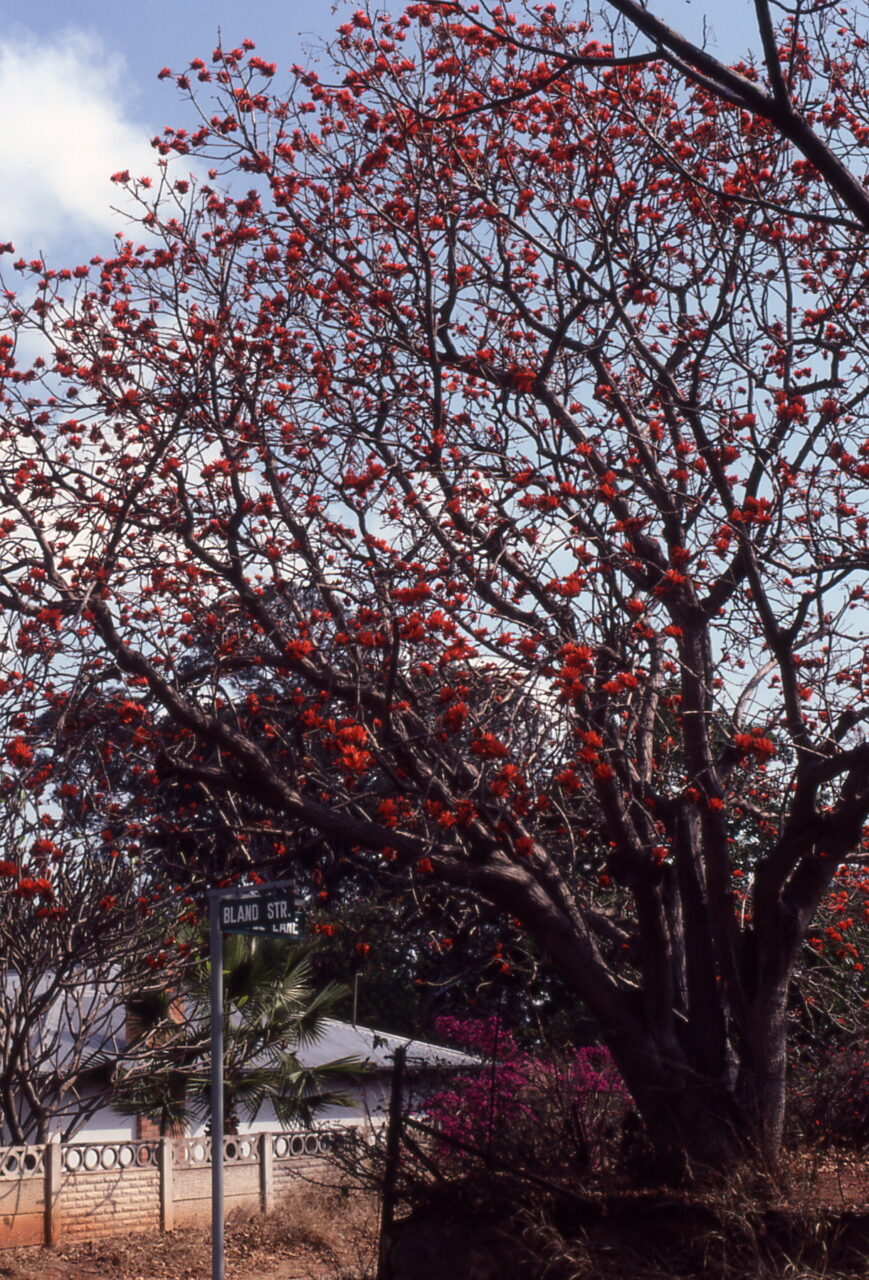 Kruger National Park