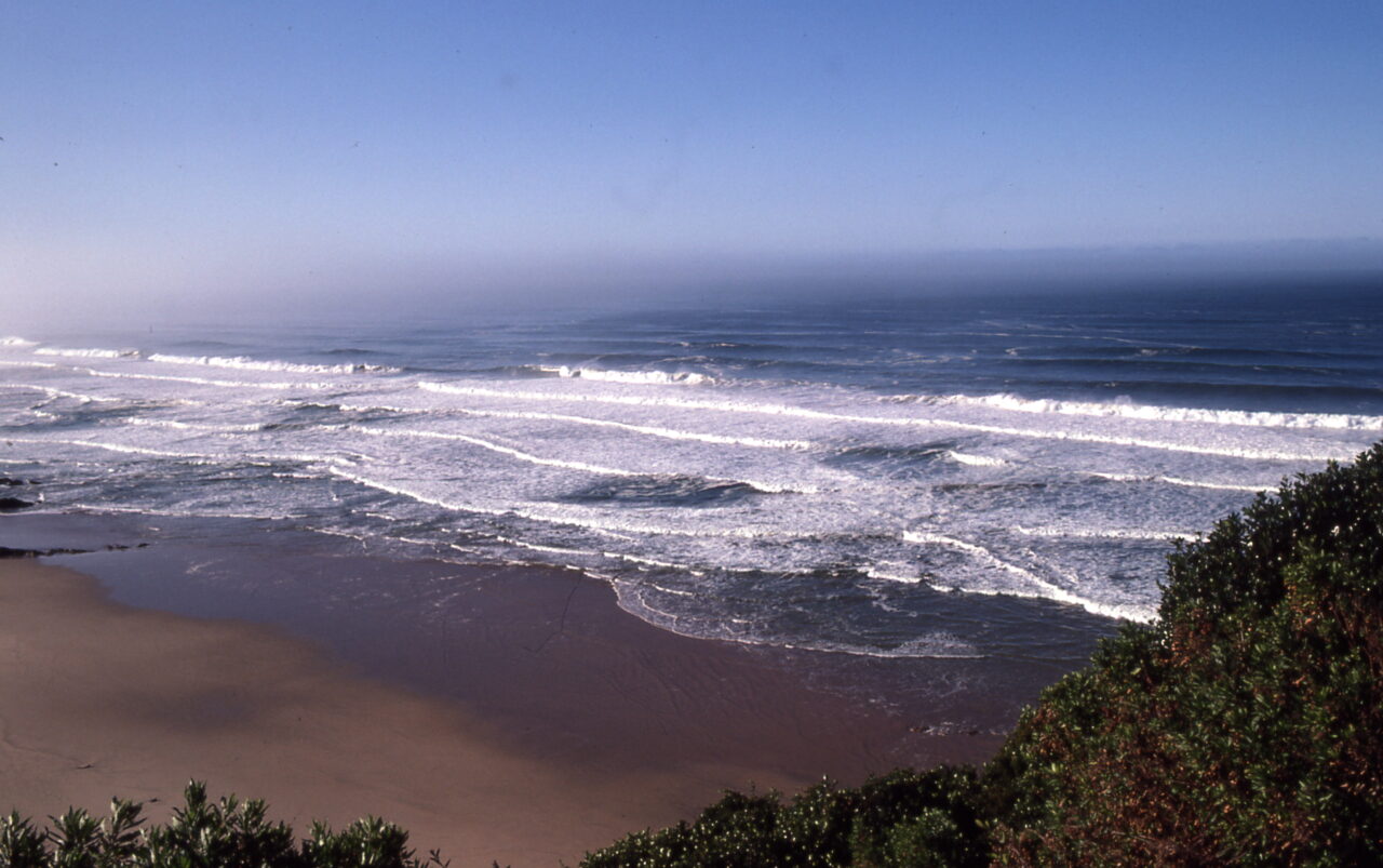 Plettenberg Bay
