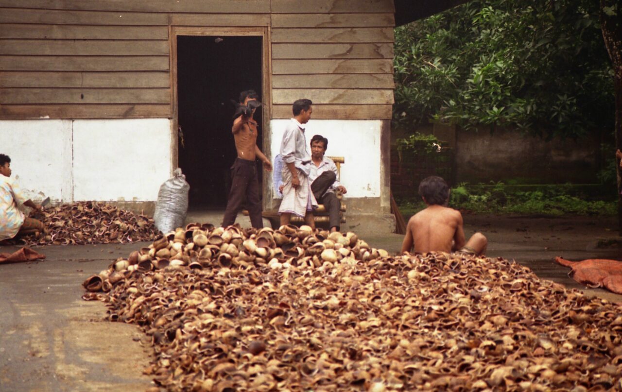 Kokosnusschalen Lombok